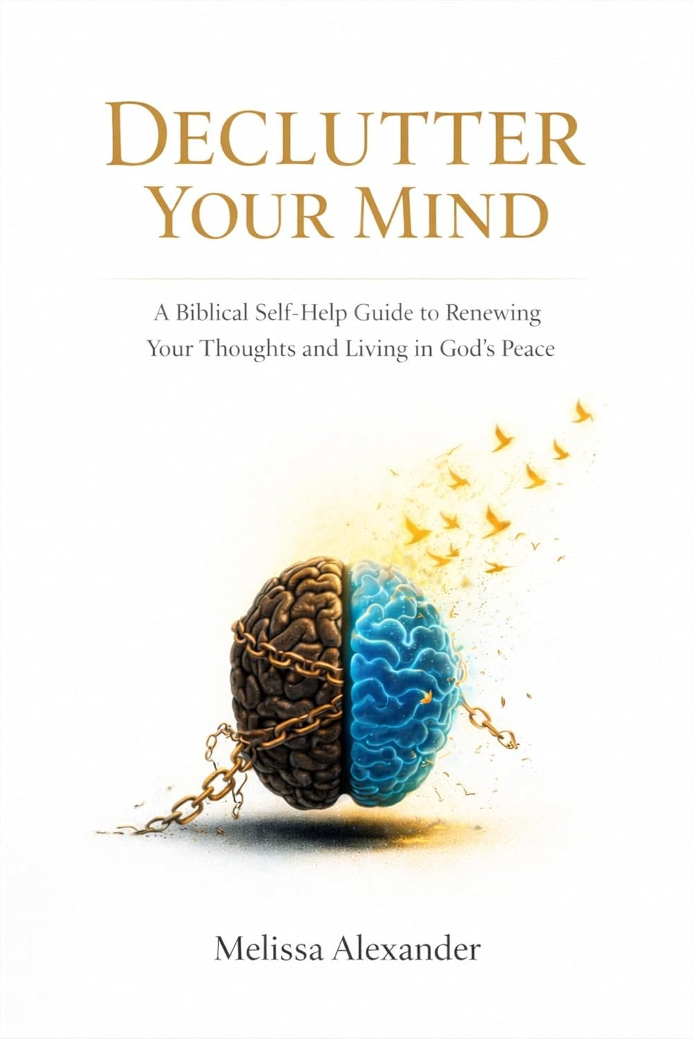 Declutter Your Mind : A Biblical Self-Help Guide to Renewing Your Thoughts and Living in God’s Peace