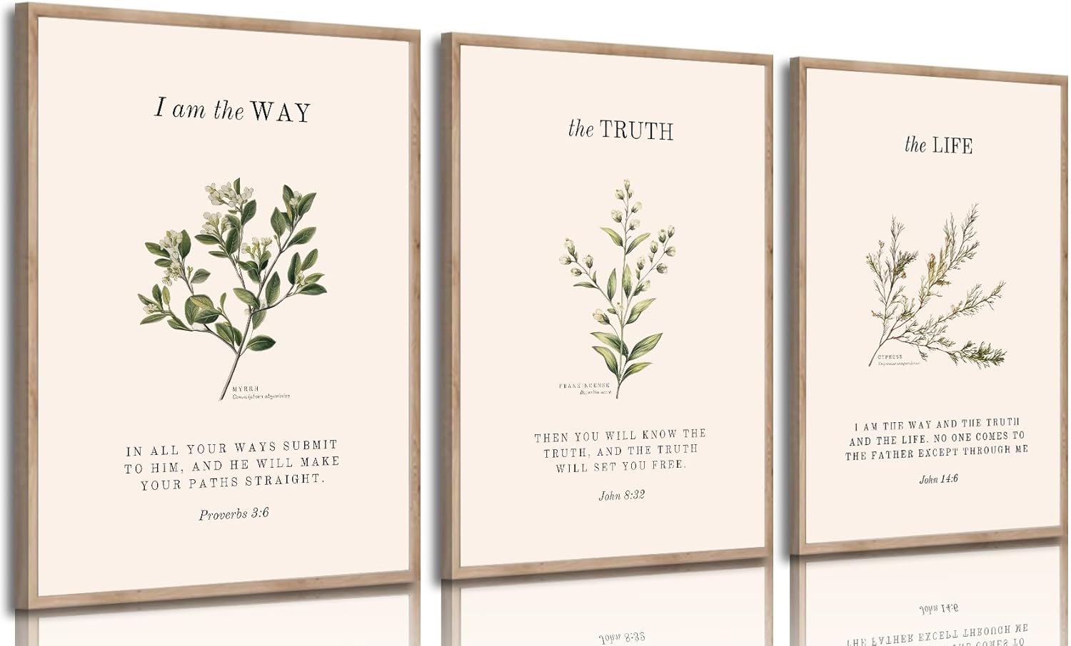 Unframed 3Pcs Christian Bible Wall art Religious Verse Painting Picture Wall Decor Proverbs 3:6 John 14:6 Vintage Botanical Poster Print Artwork for Bedroom Living Room Study Home Decoration Neutral Beige Faith Gifts