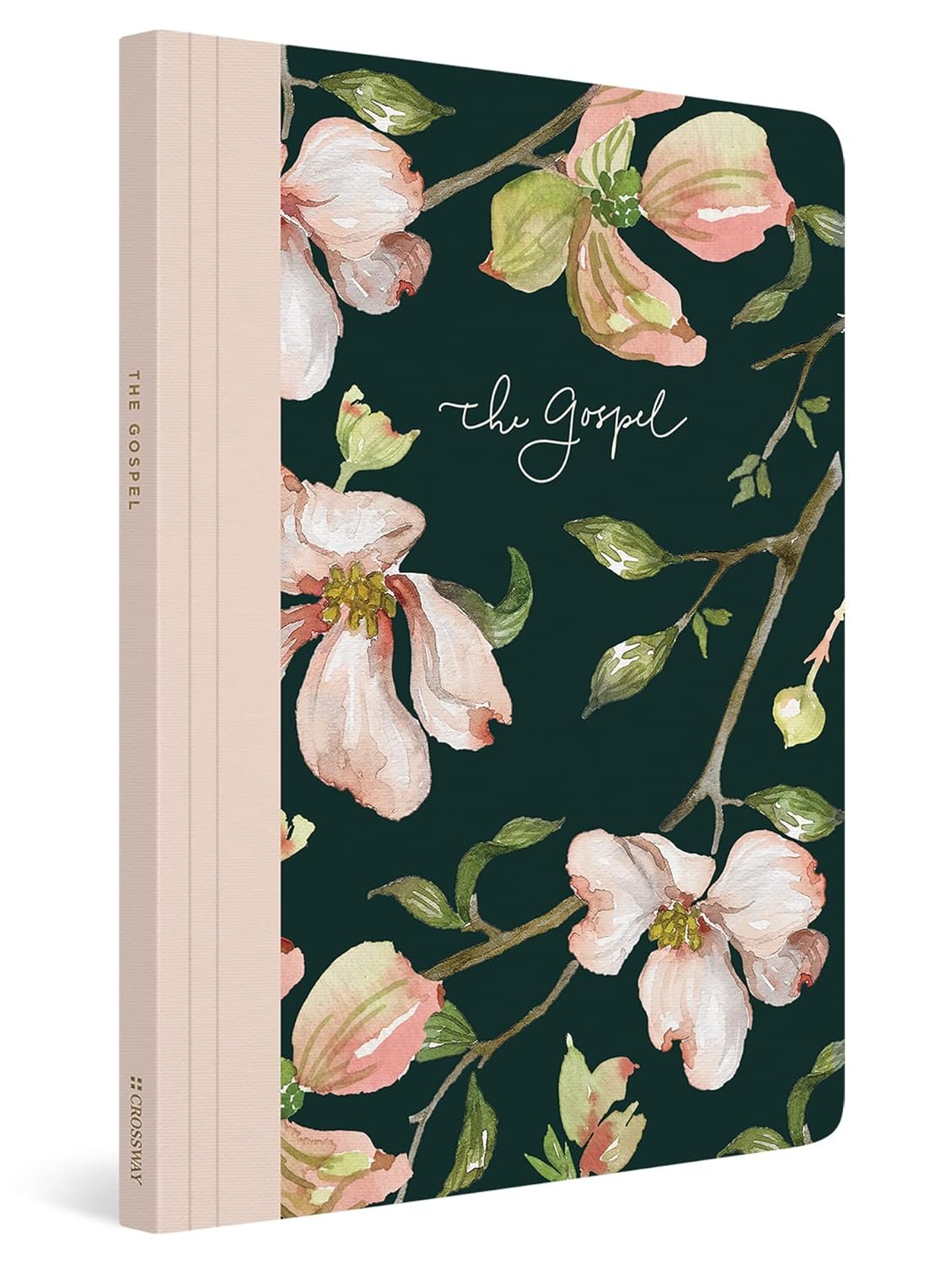 ESV Prayer Journal: 30 Days on the Gospel (Paperback)