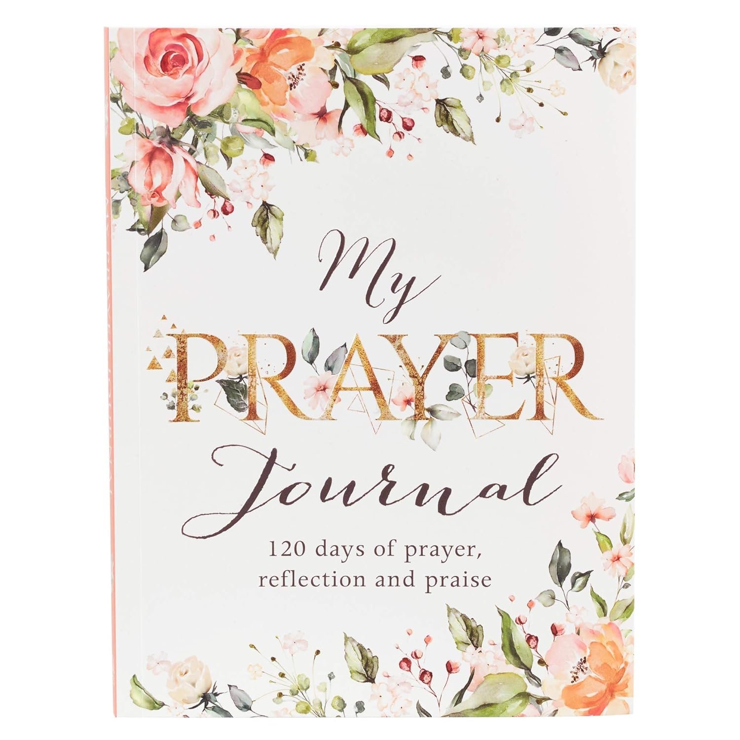 My Prayer Journal – 120 Days of Prayer, Reflection and Praise