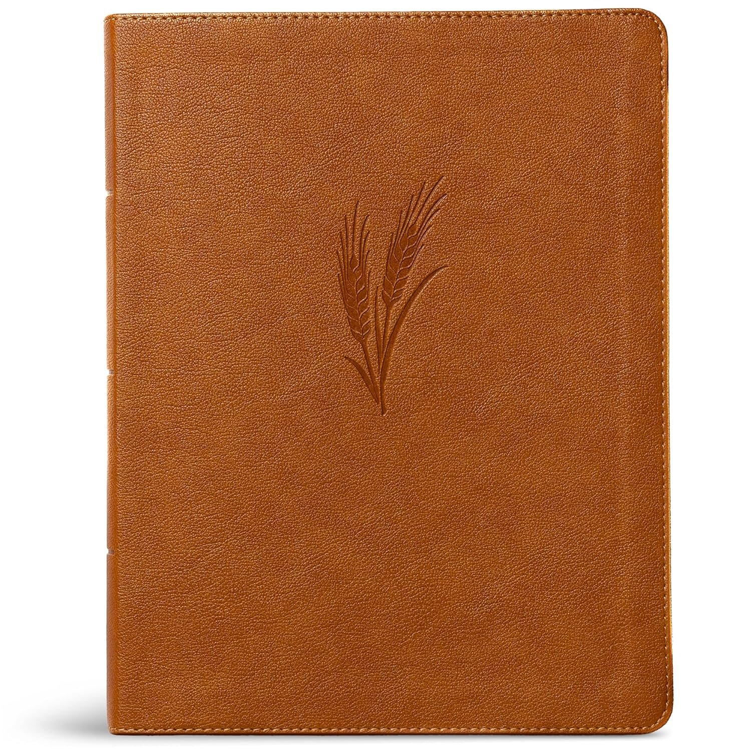 CSB Notetaking Bible, Large Print Edition, Camel LeatherTouch, Black Letter, Wide Margins, Journaling Space, Single-Column, Reading Plan, Easy-to-Read Bible Serif Type