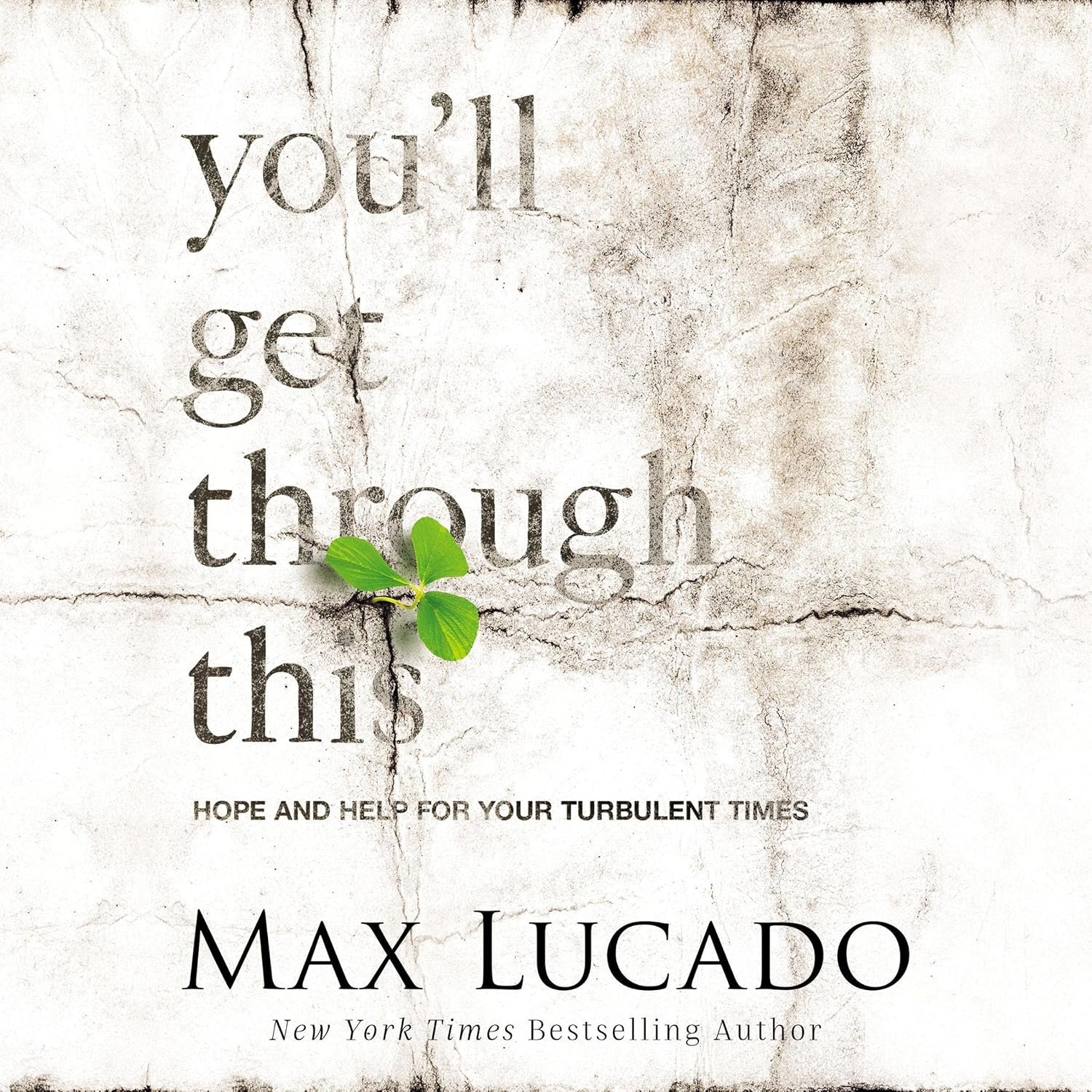 You’ll Get Through This: Hope and Help for Your Turbulent Times