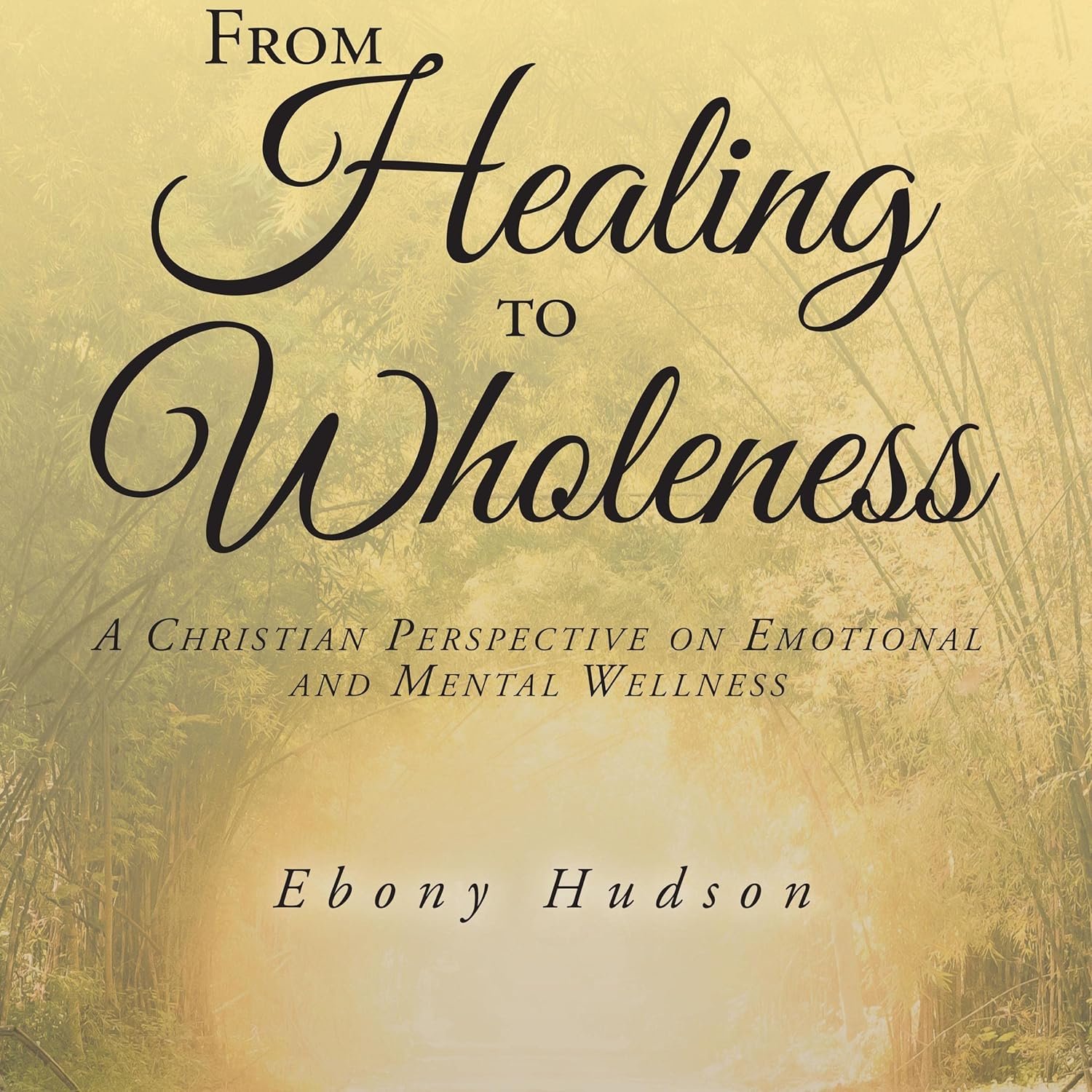 From Healing to Wholeness: A Christian Perspective on Emotional and Mental Wellness