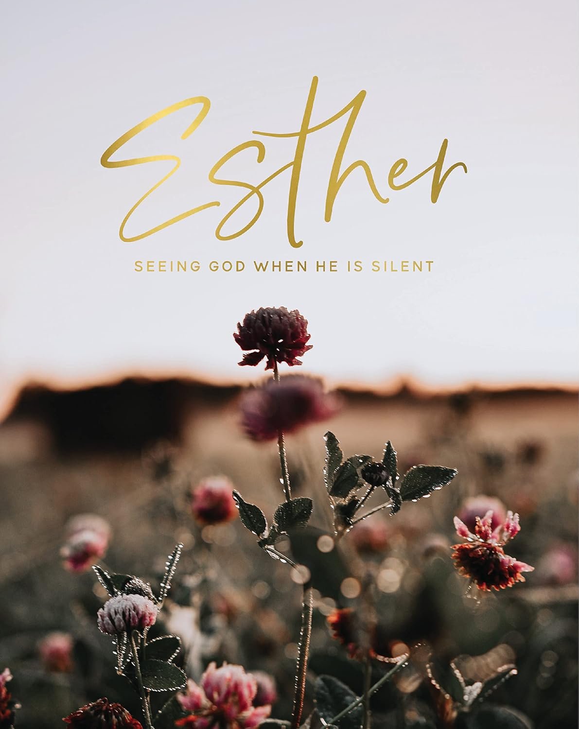 Esther | Seeing God When He Is Silent