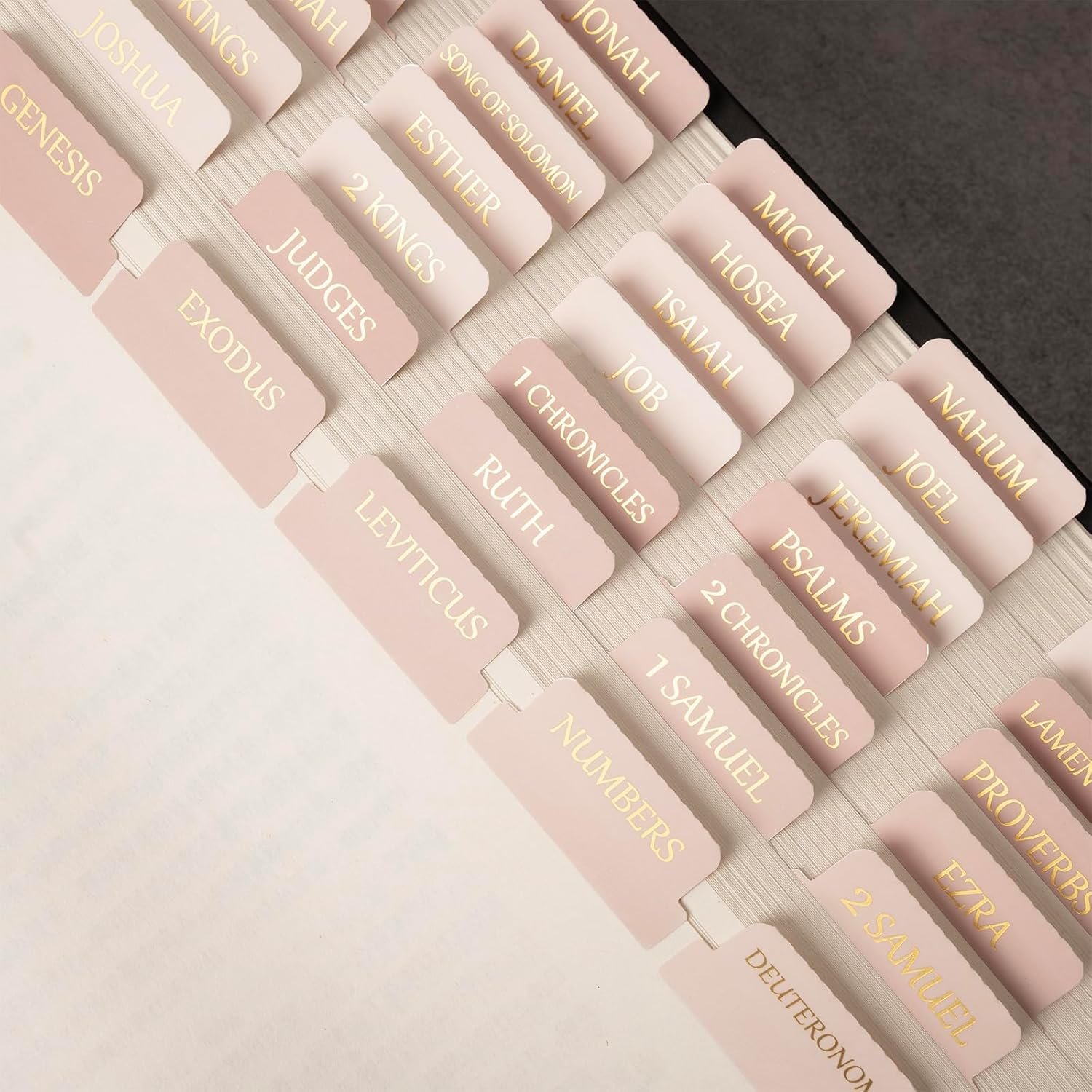Lumintutu Laminated Bible Tabs, Gold Foil Large Print Lettering, 90 Tabs Bible Study Journaling Supplies, Christian Gift for Women and Men, She Reads Truth Bible (Pink)
