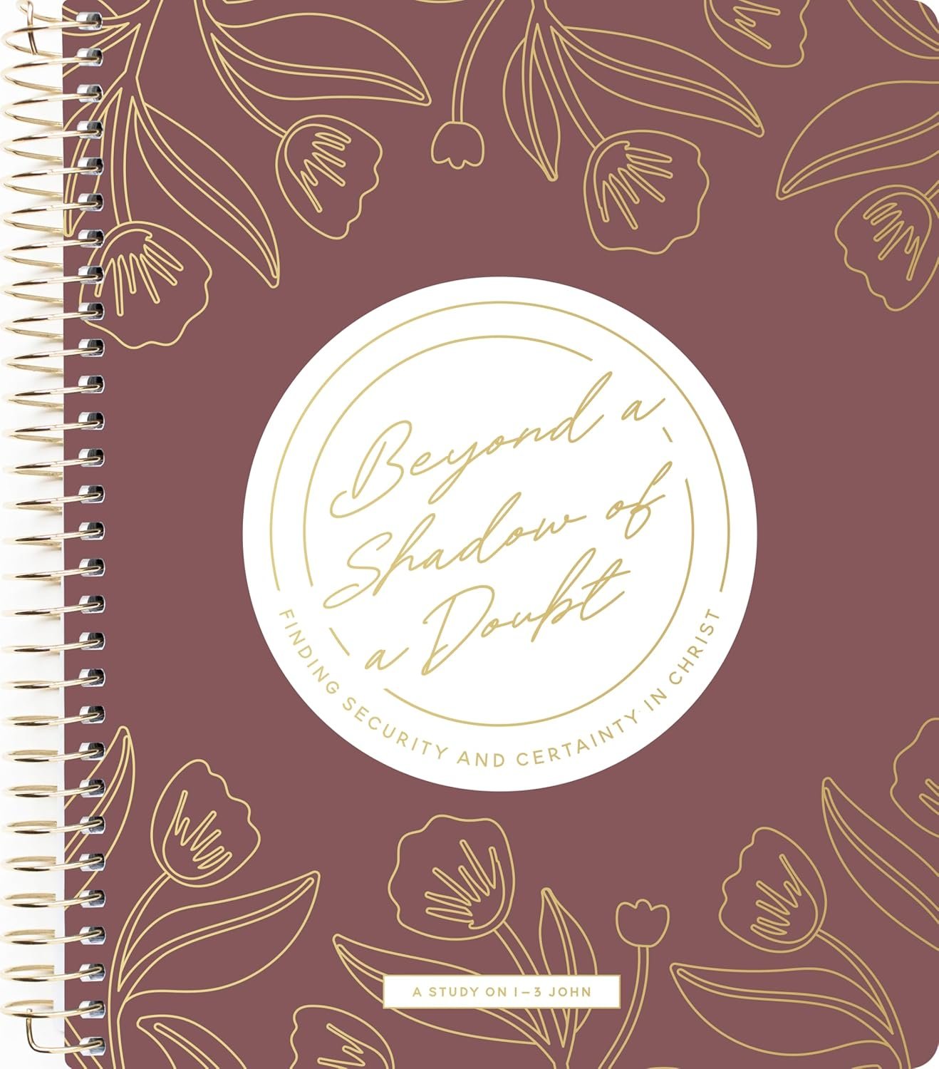 Beyond a Shadow of a Doubt Bible Study | 1-3 John