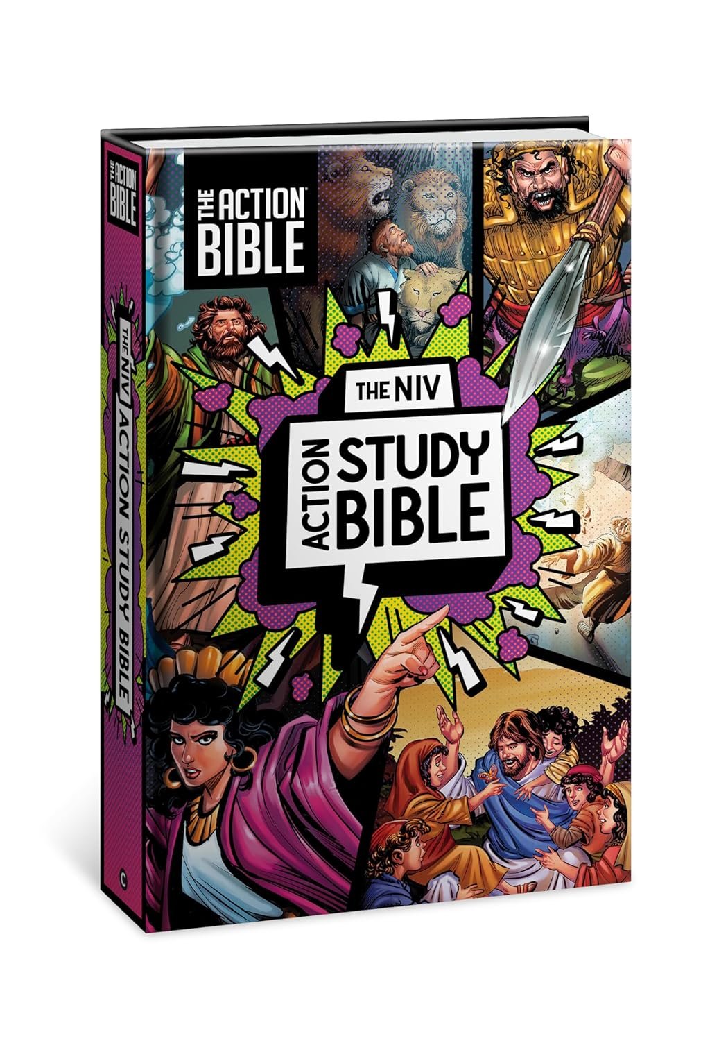 The NIV Action Study Bible, Hardcover, Full Color (Action Bible Series)