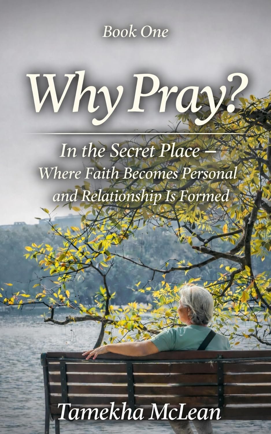 Why Pray?: In the Secret Place – Where Faith Becomes Personal (A Life Formed in Prayer Book 1)