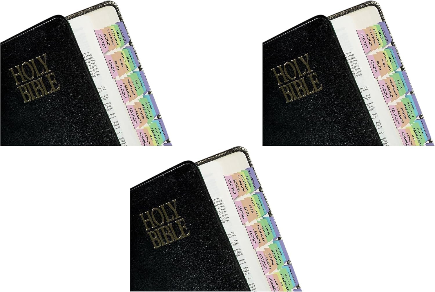 Tabbies Rainbow Bible Indexing Tabs, Old & New Testaments, 80 Tabs Including 64 Books & 16 Reference Tabs, Multi-Colored (58346), Rainbow Colored (Pack of 3)