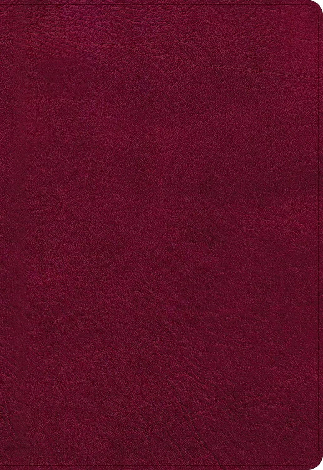 NASB Super Giant Print Reference Bible, Burgundy LeatherTouch, Indexed
